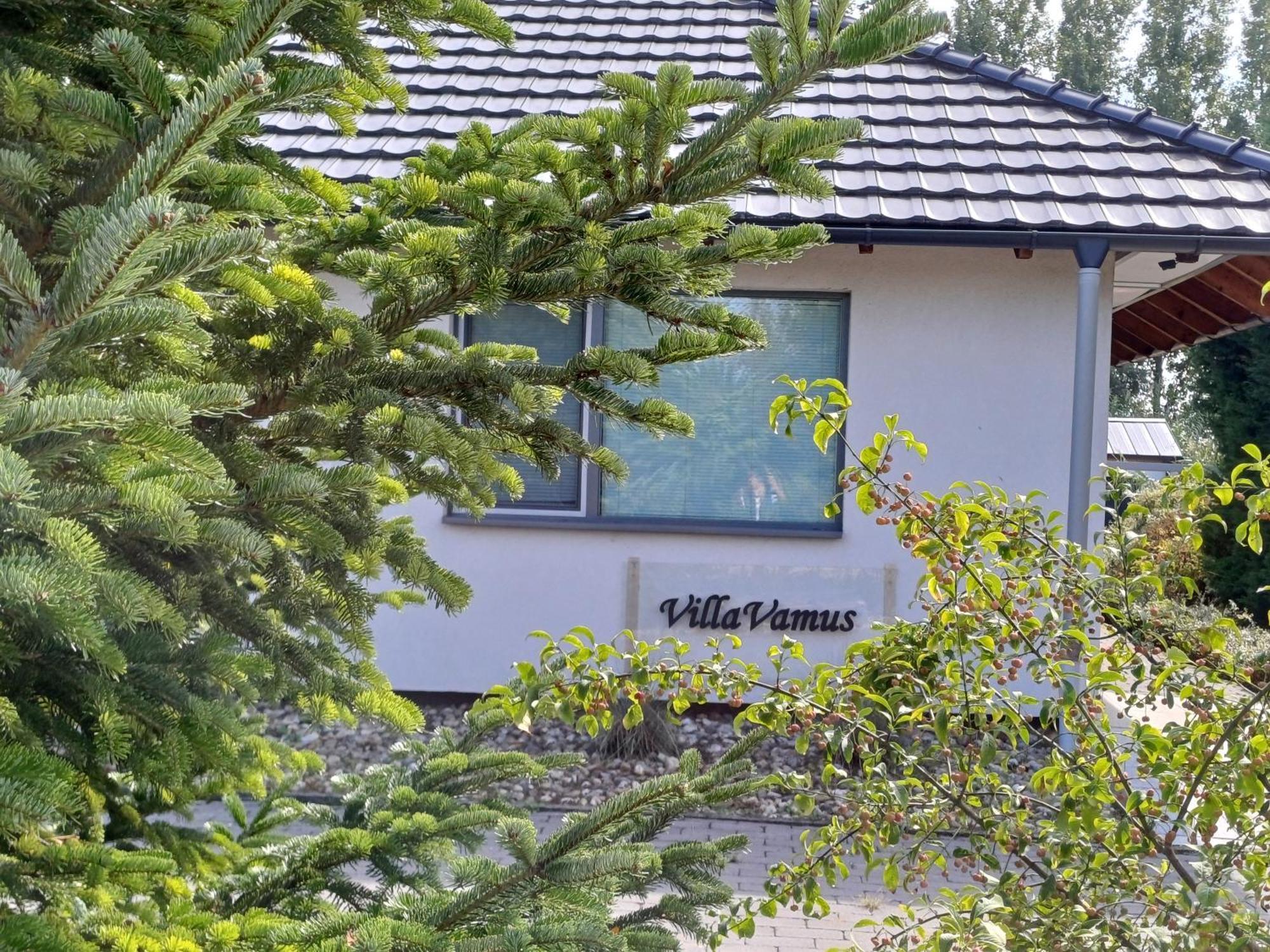 Villa Vamus Vendeg- Es Rendezvenyhaz Vámosszabadi Exteriör bild